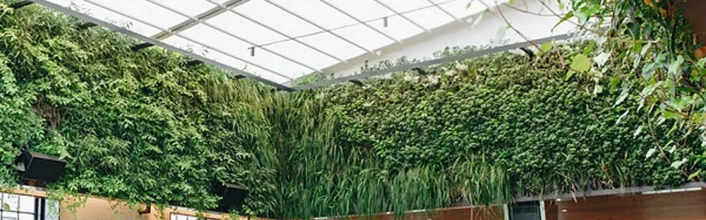 Paragon Hotel Banner